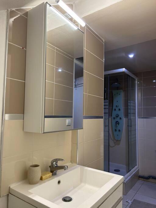 Cosy Studio - 10 Min Away From Cdg Aeroport - 30 Min Away From Paris - Parc Asterix - Olympic Games 2024 Le Thillay Eksteriør billede